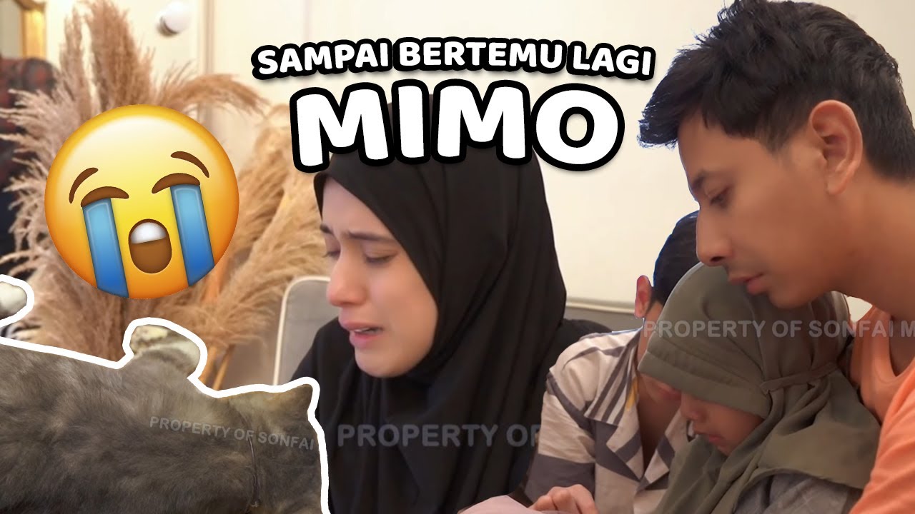 SELAMAT JALAN.... MIMO....