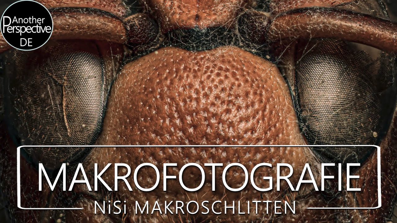 Extreme Makrofotografie und Focus Stacking mit Nisi Makro Schlitten
