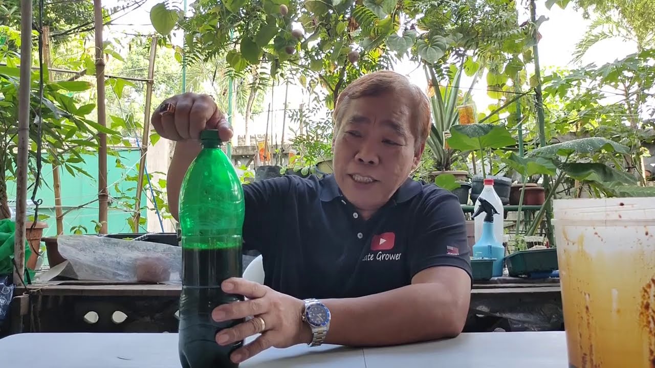 Fermented Fruit Juice NPK Lab Result - Sustansya na Bigay ng FFJ sa Halaman