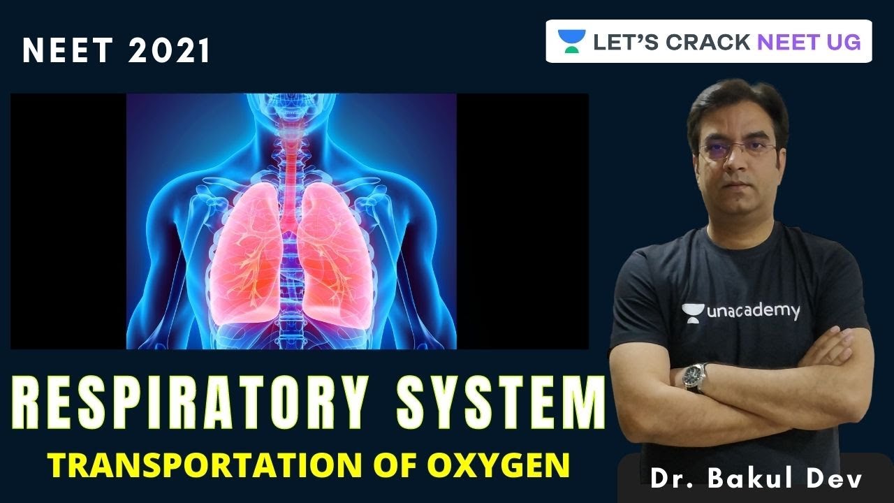 Respiratory System: Transportation of Oxygen | NEET Biology | NEET 2021 | Dr. Bakul Dev
