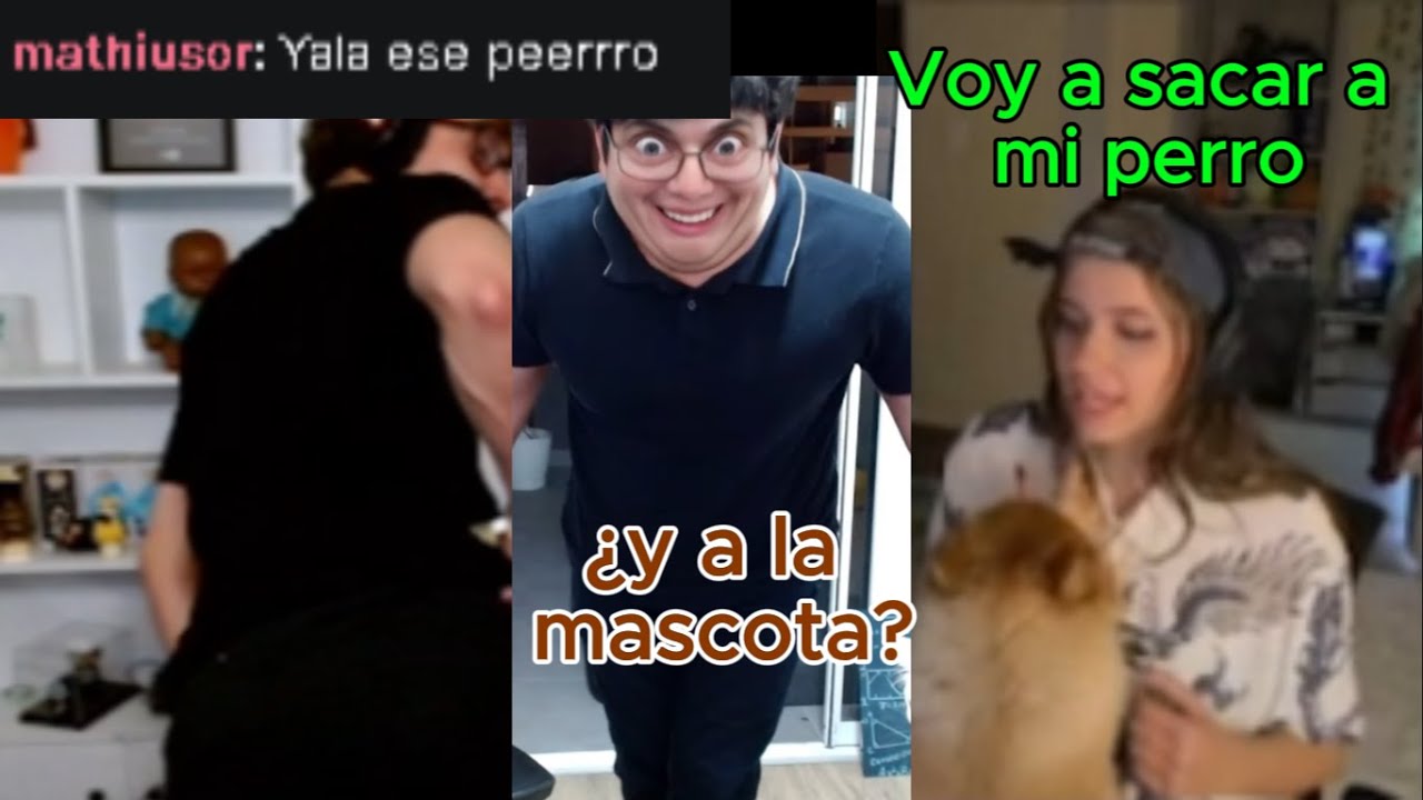 Desubicados con el perro de Emikukis