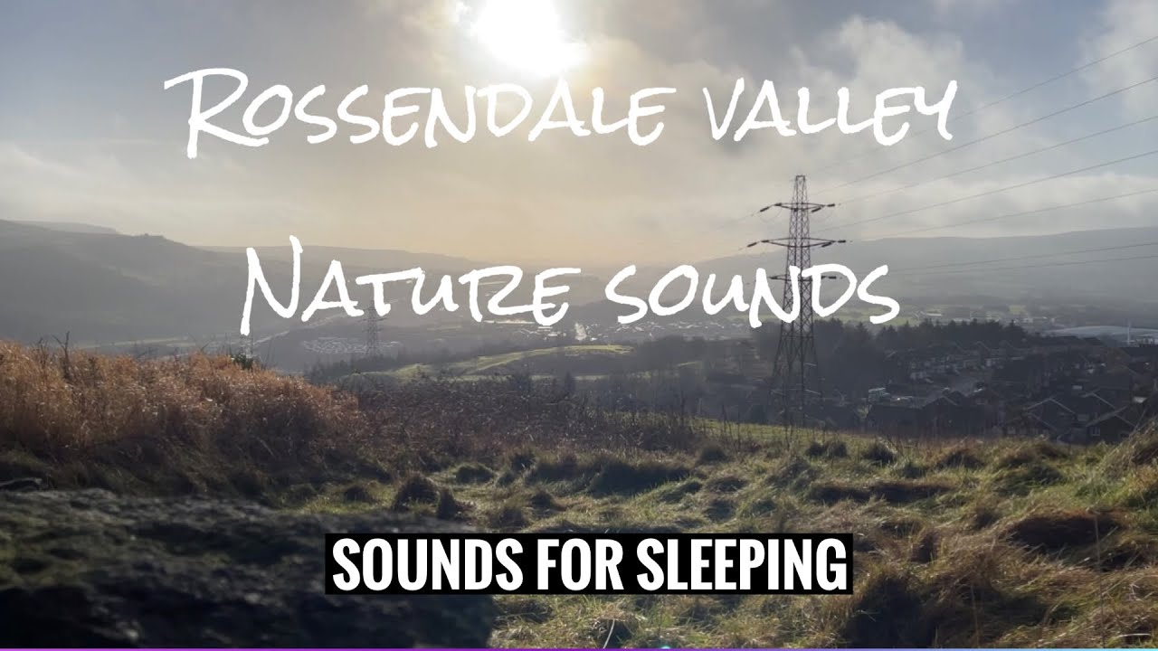 6 hours Nature sounds filmed in Rossendale Valley, Lancashire - spot the ZOMBIE!