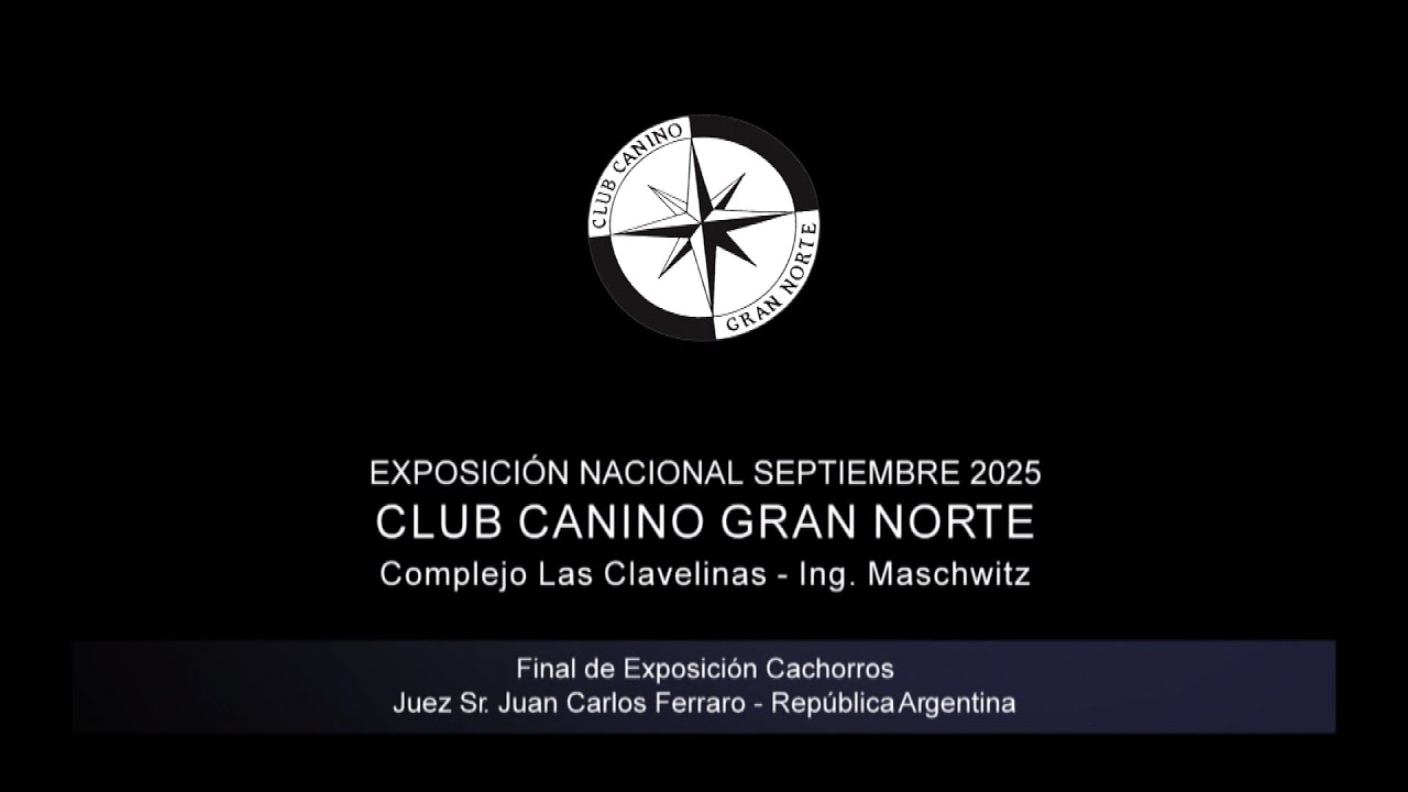 &ldquo;Perros en acci&oacute;n&rdquo; Club Canino Gran Norte