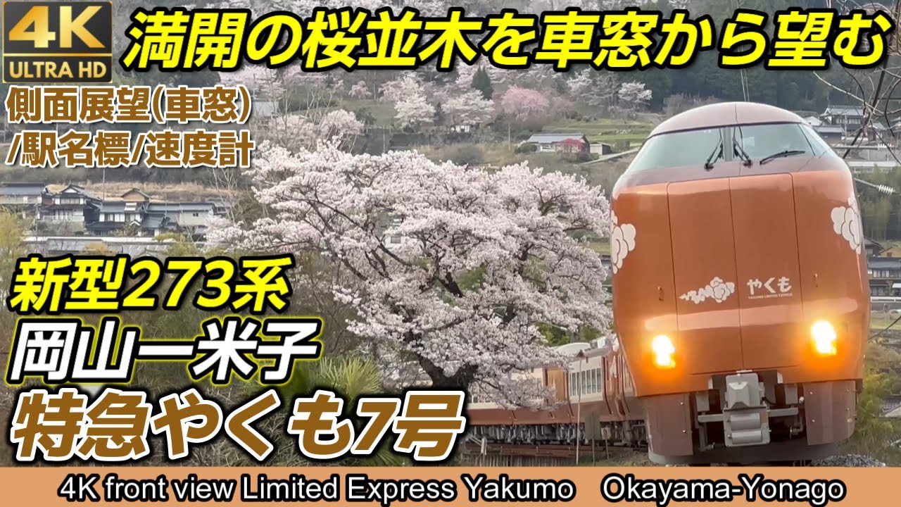 【絶景】【4K60fps側面展望(車窓)】42年ぶりの新型車両【273系】特急やくも7号岡山ー米子【乗車記】全部見せます【完全版】ブロンズ色の新型車両で「満開の桜の横を駆け抜けて行く」