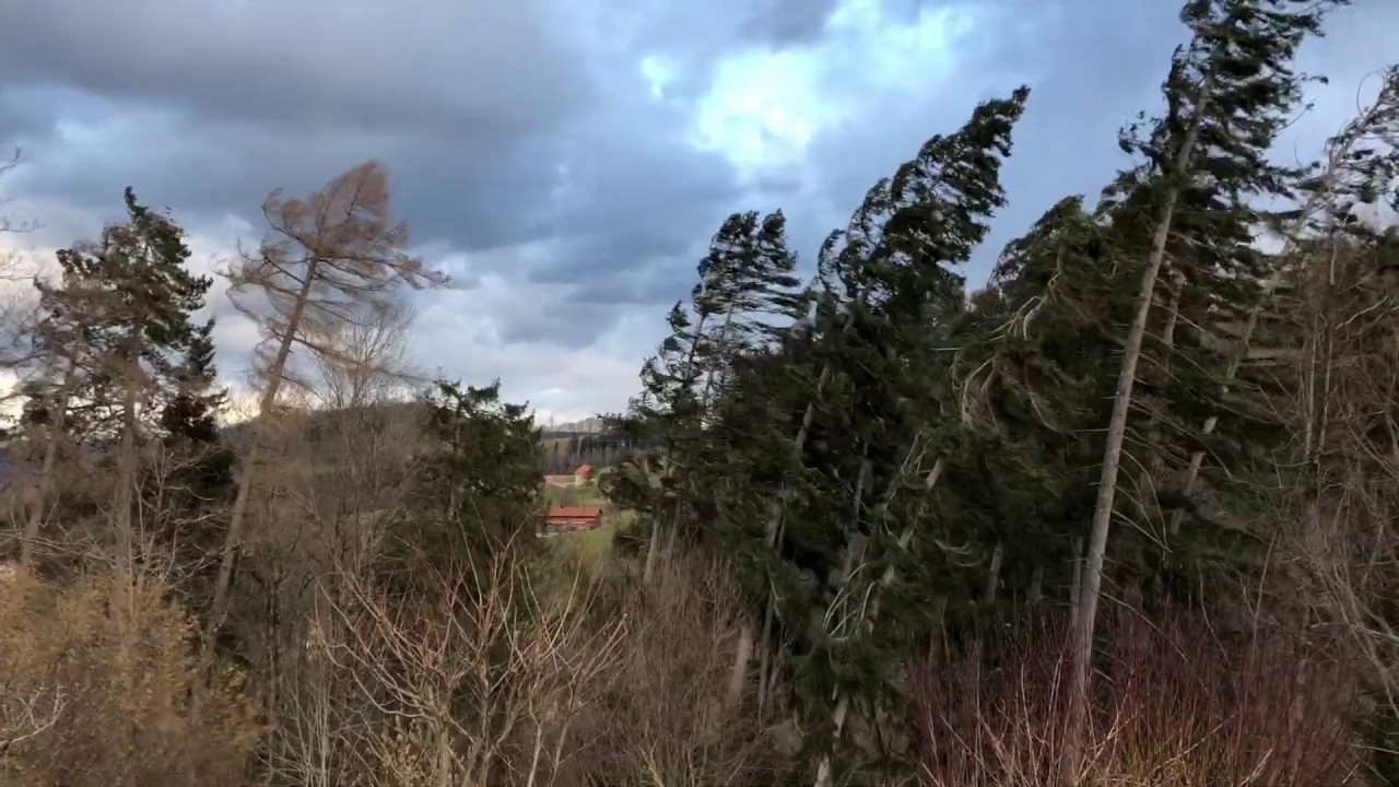 Sturm Sabine