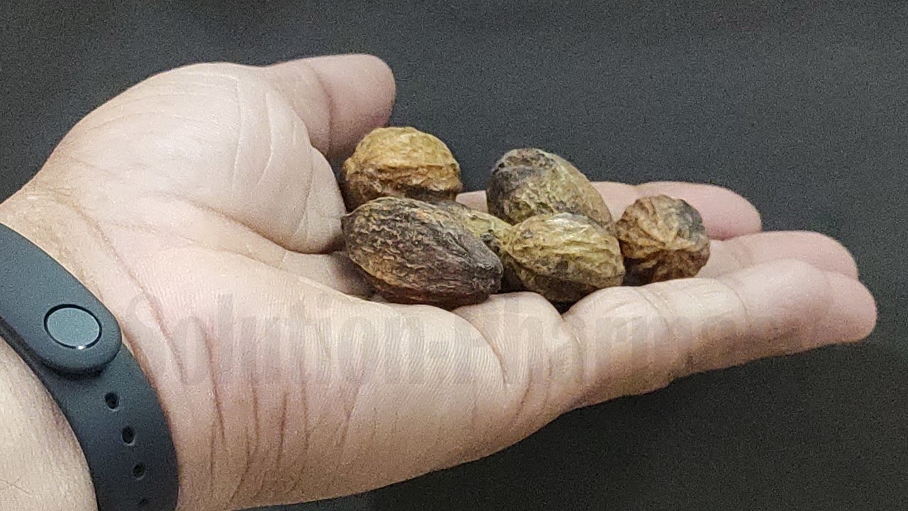 Constipation (Part- 02)= Classification of Laxative | Treatment of Constipation | Laxative Drugs