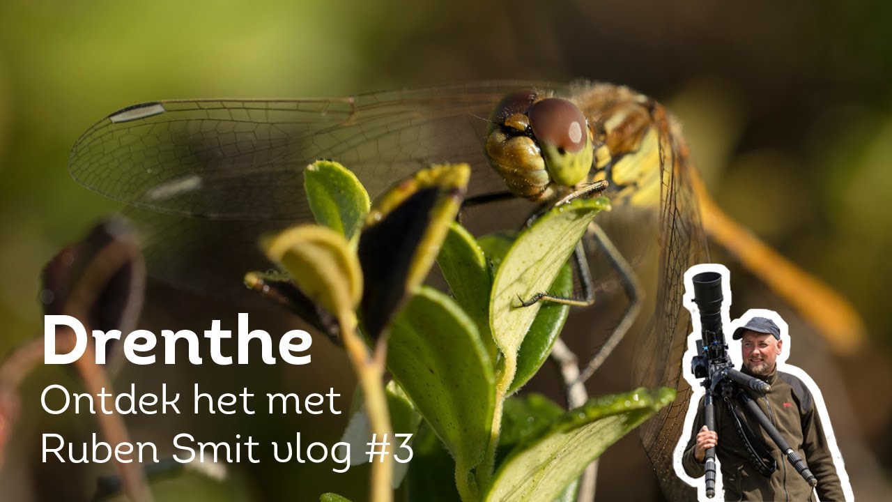 Wat te doen in Drenthe? Ontdek het met Ruben Smit #3 | Landal GreenParks