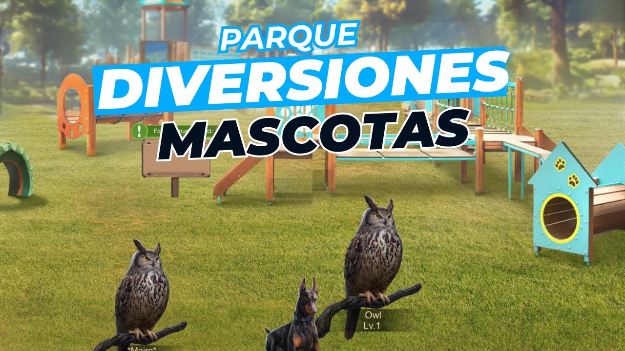 Todo lo que debes saber del Parque Diversiones de Mascotas - Last Shelter