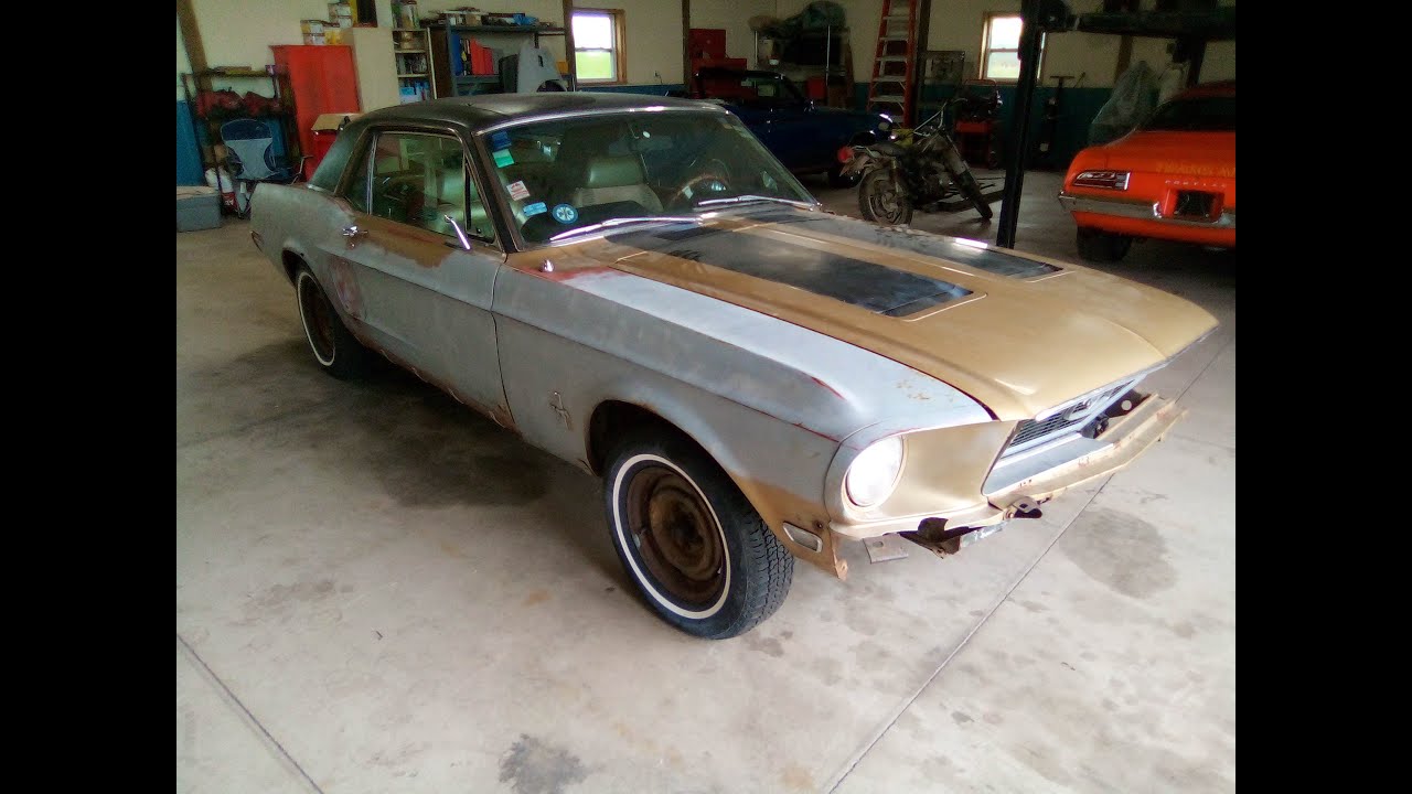 1968 mustang gold nugget part 1 golden nugget edition ?? barn find storage unit find !