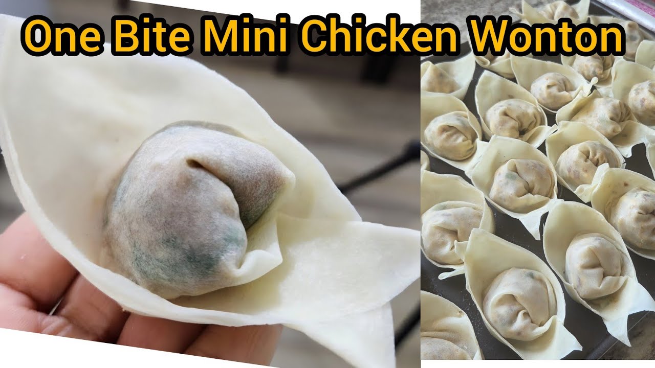 One Bite Mini Chicken Wontons Recipe | Make And Freeze Ramadan Recipes
