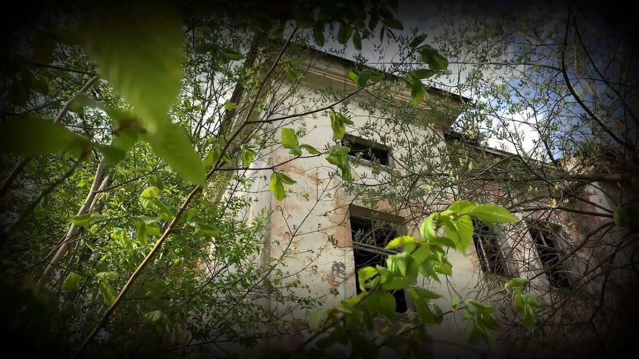 ZeFilms - тизер