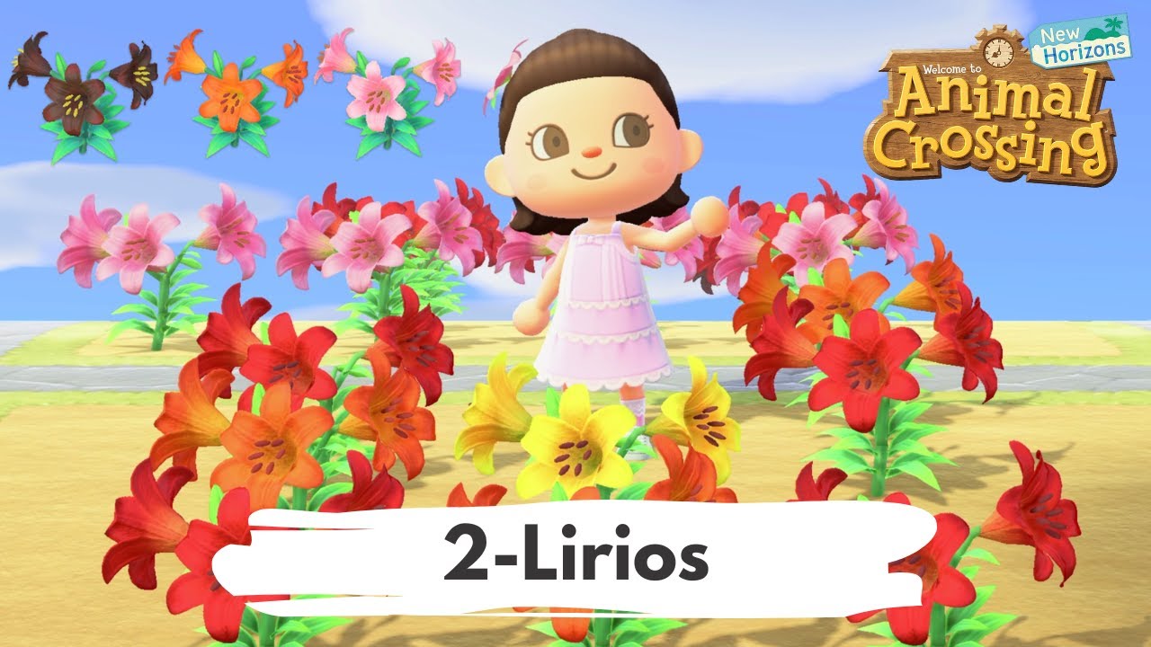 Cómo conseguir todas las FLORES HÍBRIDAS Animal Crossing 🌸 Lirios