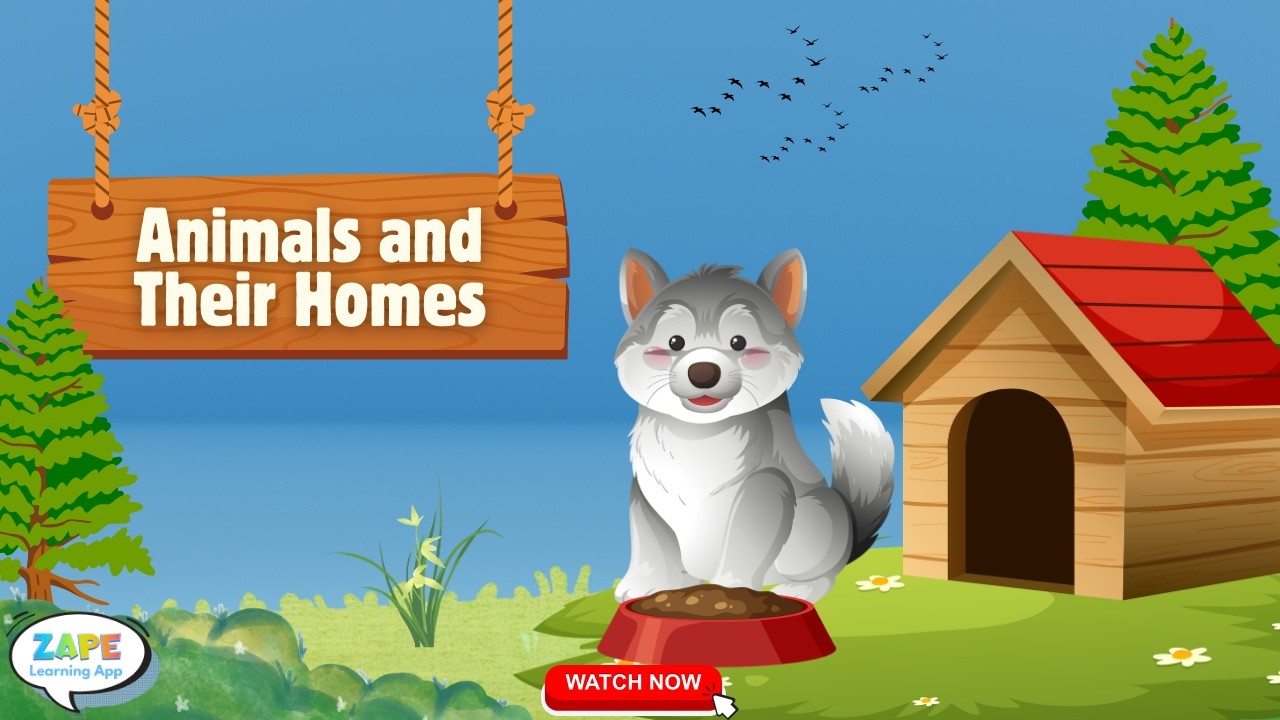 Animal Homes for Kids | Learn Where Animals Live