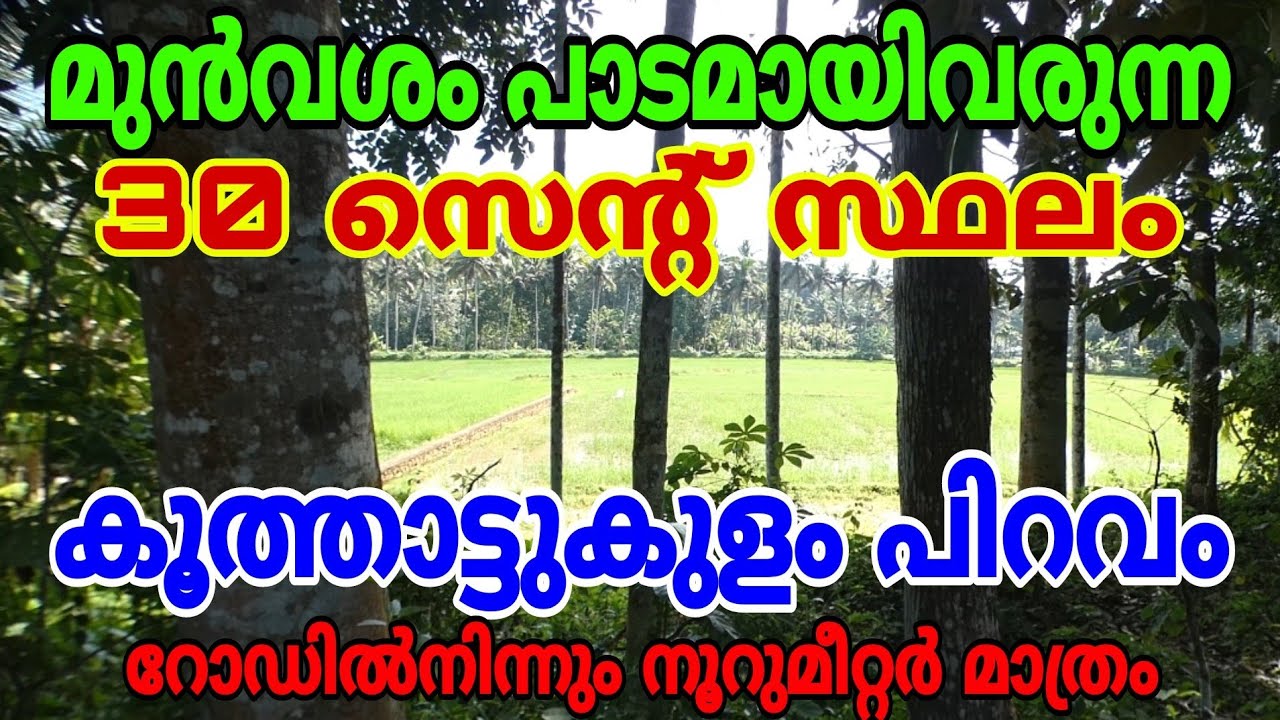 30 Cents of house plot for sale. Pady field frontage. 100 mtr. away from Koothattukulam Piravom NH.