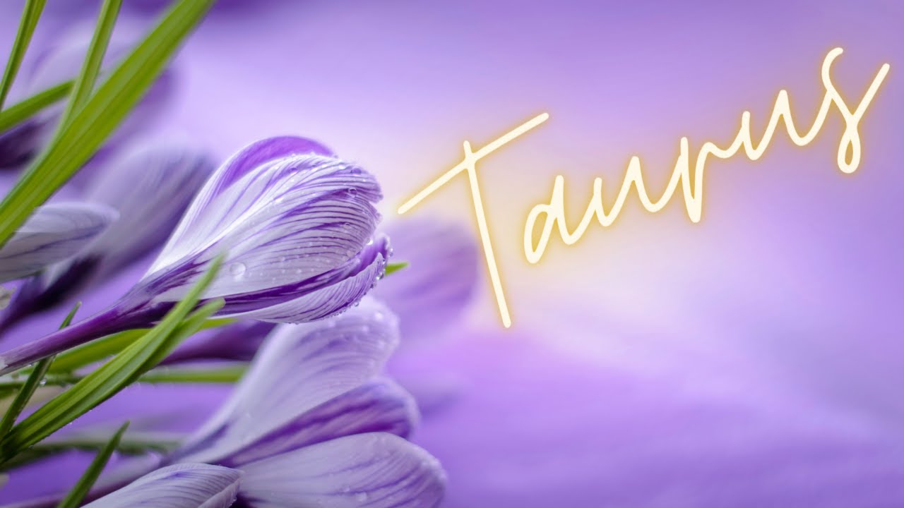 Taurus💜You'll Marry This Person, Taurus🌱Give Them A Chance-Worth A Second Look💜Energy Check-In