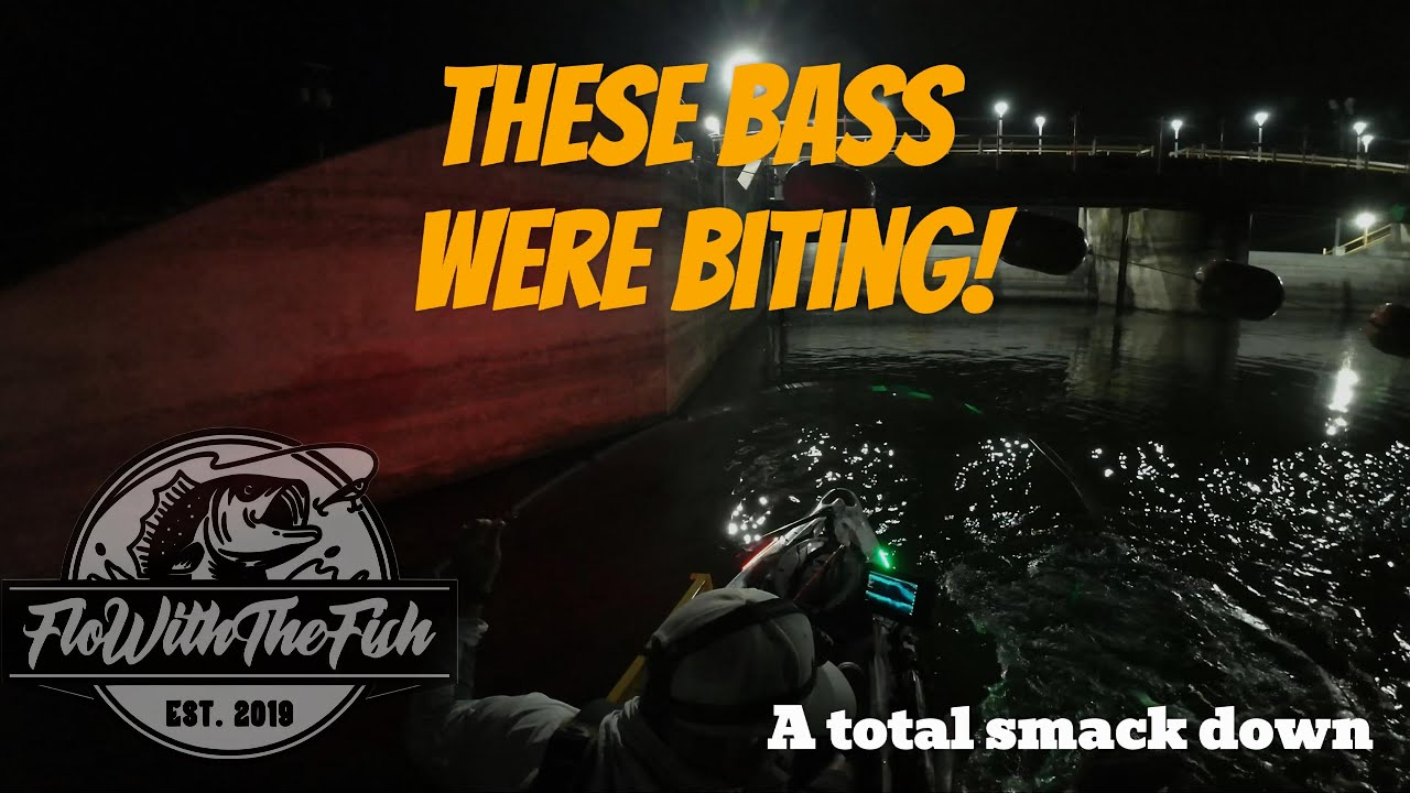 Jack Hammer and Crankbait Get Smacked All Day!(Bass Love It)