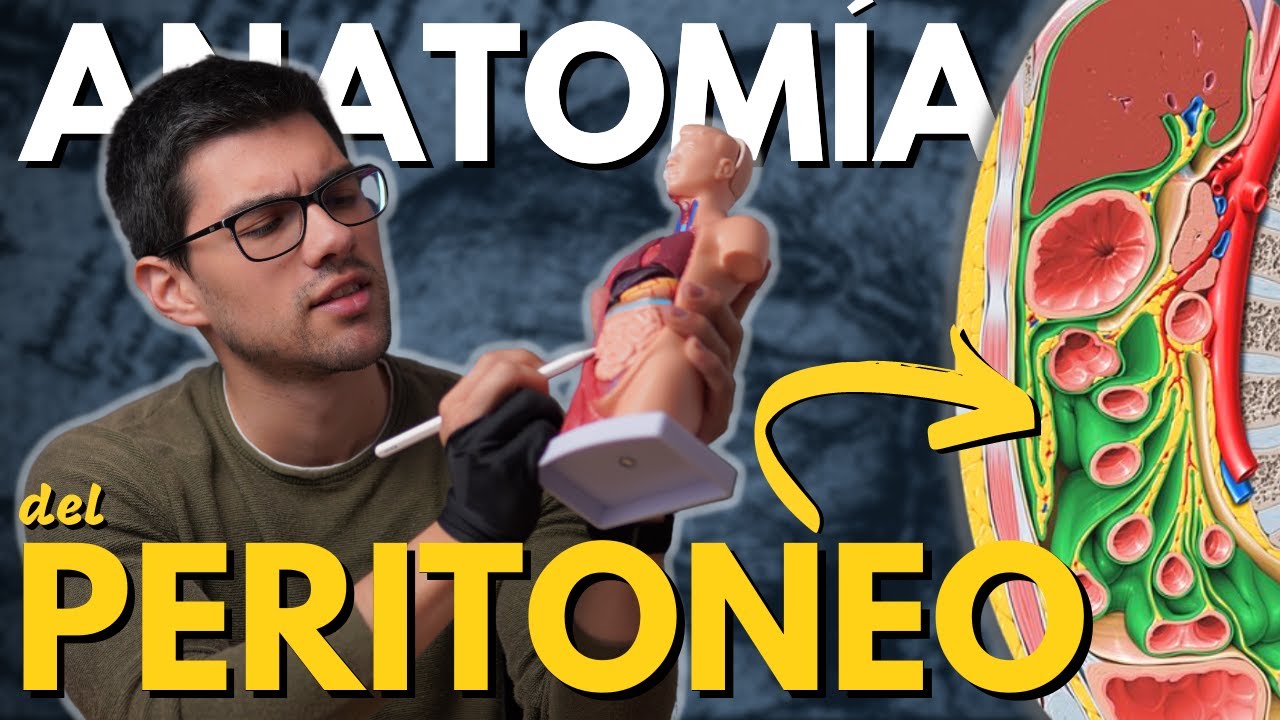 Te Explico el &Oacute;rgano M&aacute;s ENREDADO del Cuerpo Humano | El Peritoneo