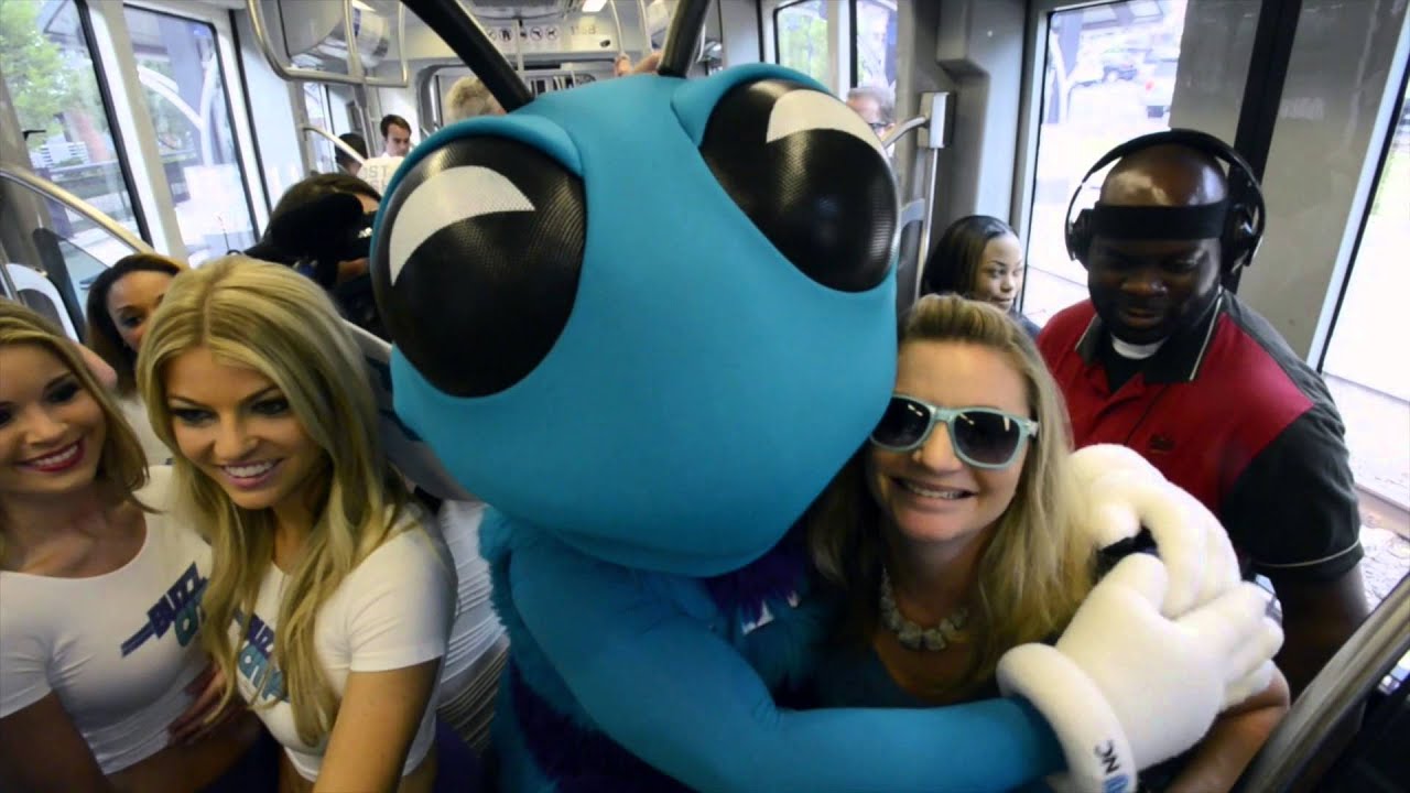 Hugo the Hornet is back in Charlotte