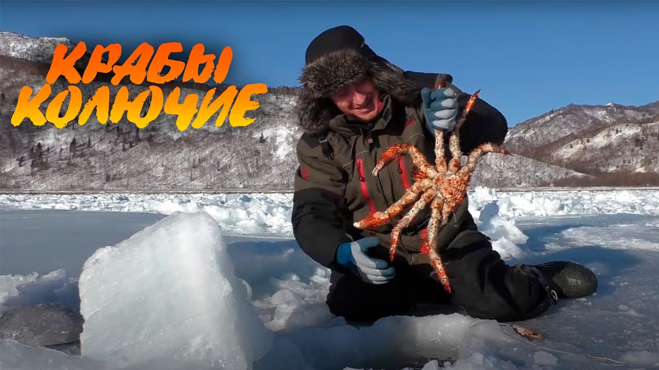 Ловля Колючего краба на булавку. (о.Сахалин)