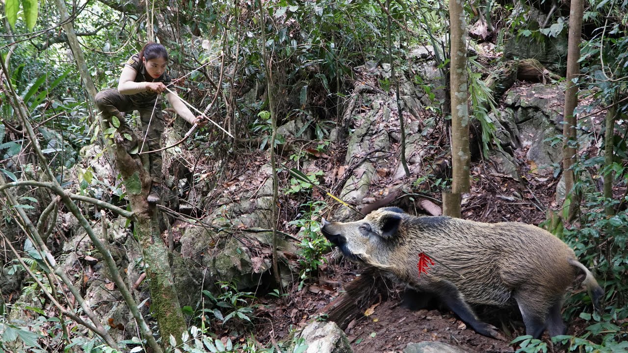 Wild boar rushed into shelter at midnight, immediately set trap to catch, survival alone
