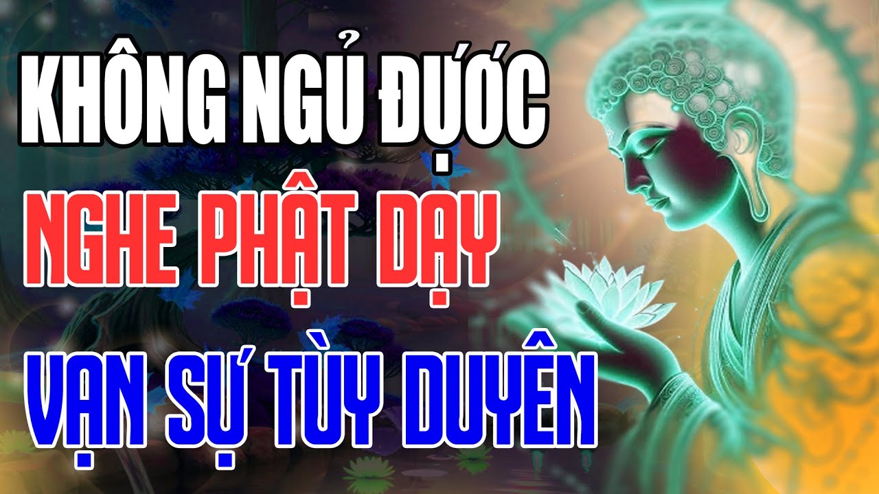 12 lời Phật Dạy nghe Mỗi Tối – Buông Bỏ Mọi Khổ Đau, Ngủ Sâu Không Mộng, Tâm An Tự Nhiên.