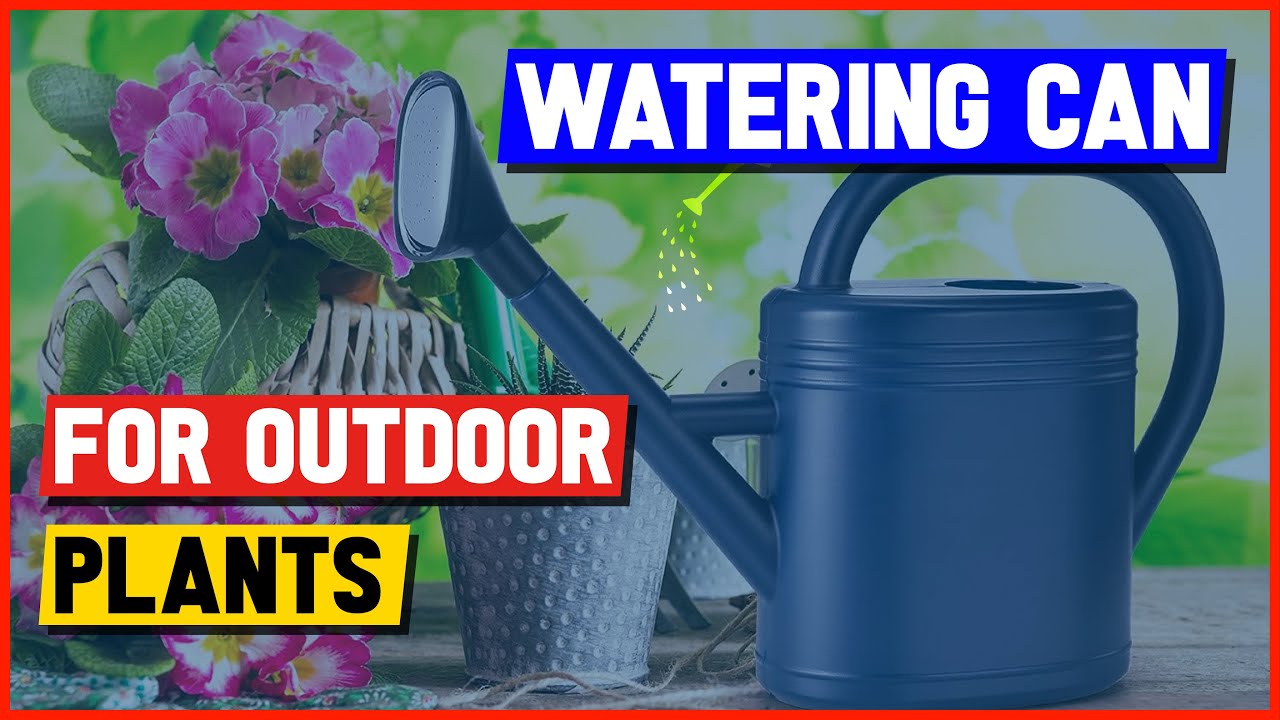 The 6 Best Watering Cans for Outdoor Plants of 2025