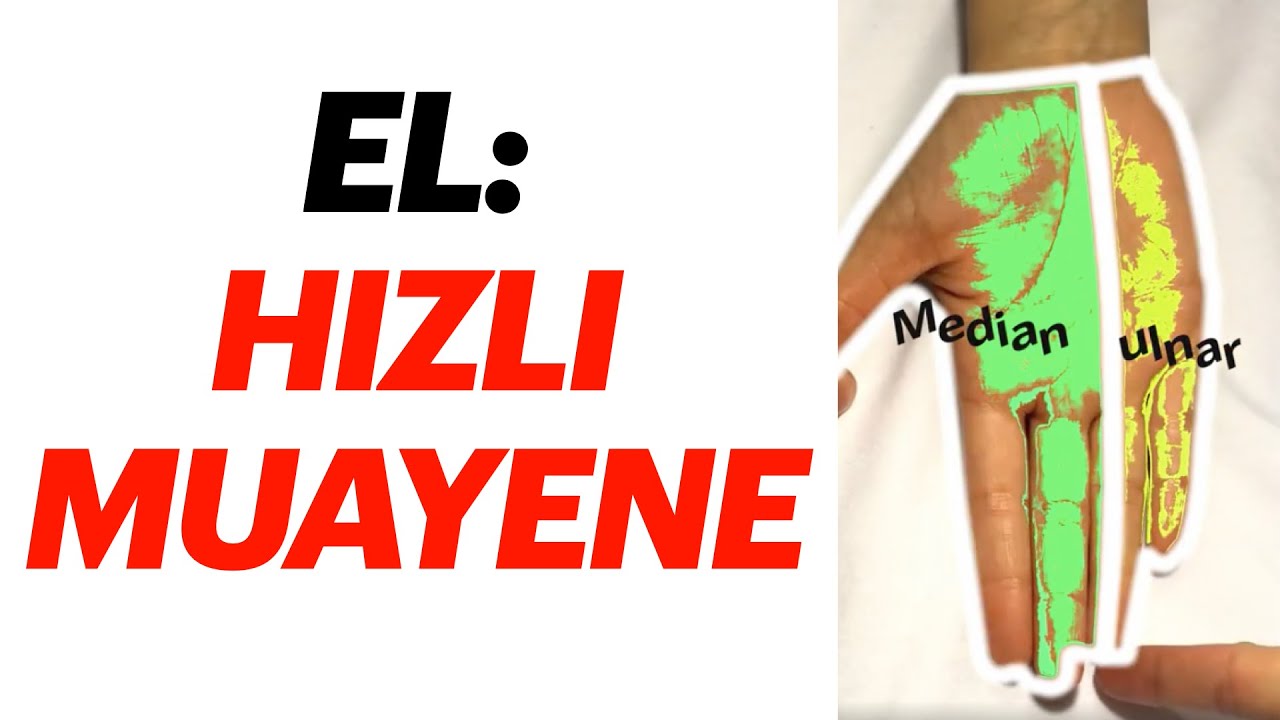 J.M. | El muayenesi (temel) - Basic hand examination