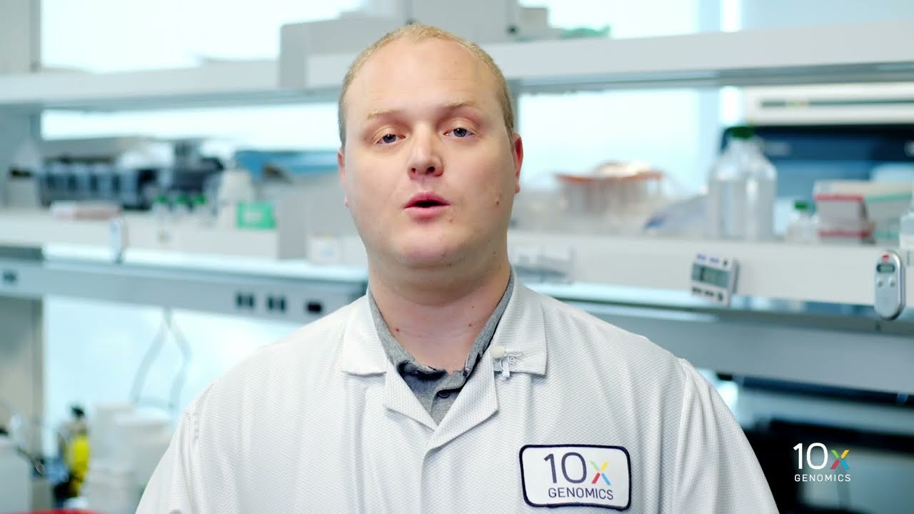 Single Cell Gene Expression HT Protocol v3.1 | cDNA Amplification
