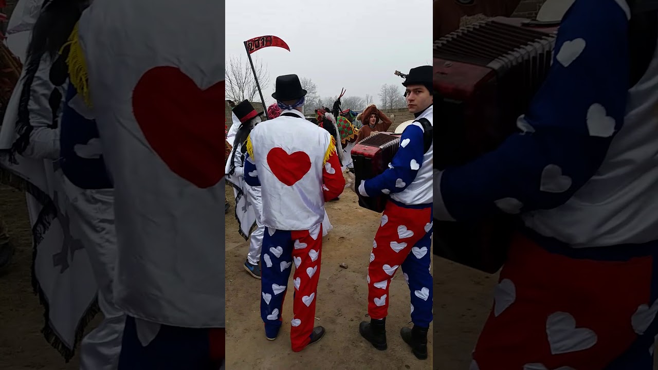 Koza Ossowo 2018