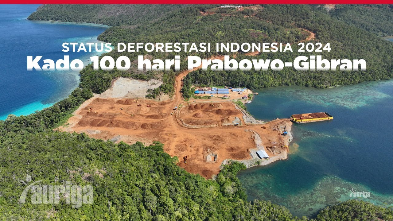 Status Deforestasi Indonesia 2024