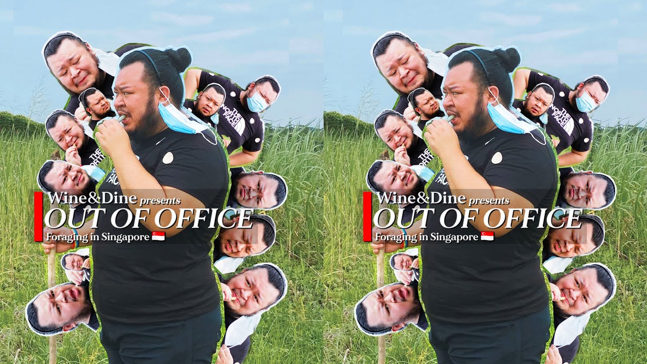 🚫OUT OF OFFICE🚫Ep. 8 (Foraging in Singapore)
