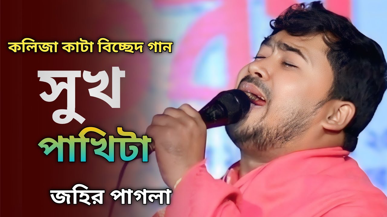 সুখ পাখিটা গেছে মারা | একটা তীরের আঘাত খাইয়াগো | জহির পাগলা | Shukh Pakhita Geche Mara | বিচ্ছেদ গান