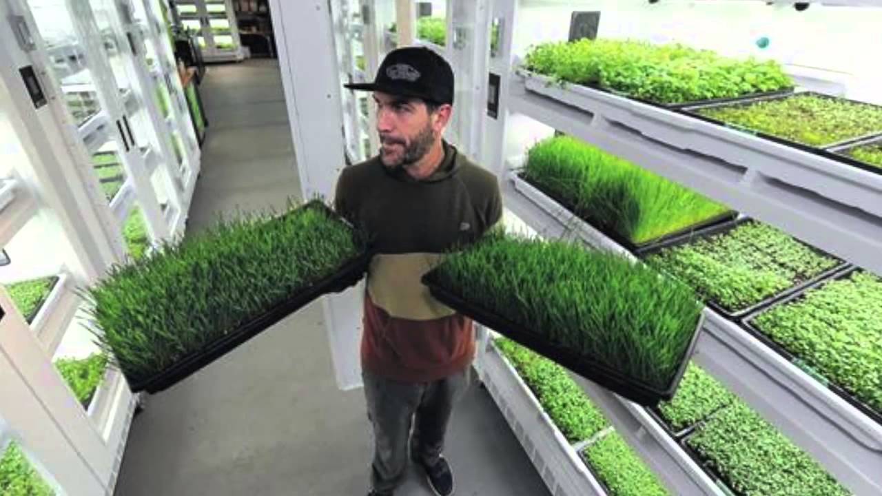 Living Produce Aisle