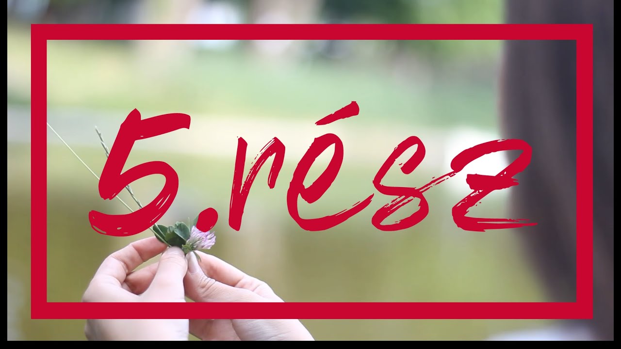 Ki&uacute;t /5. r&eacute;sz/ A megvall&aacute;s ereje