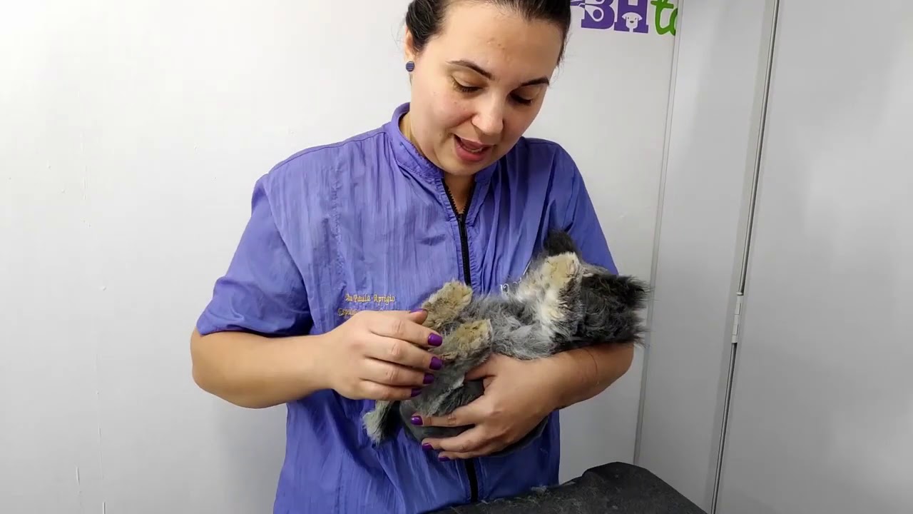 Banho e tosa em Coelho!
