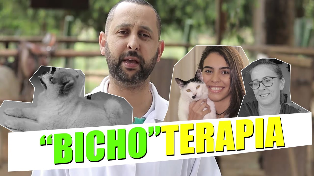CONHEÇA A TERAPIA ASSISTIDA POR ANIMAIS