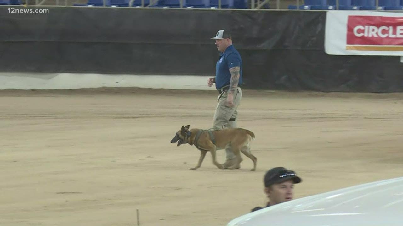 Dog teams compete in Desert Dog Police K9 trials in Scottsdale