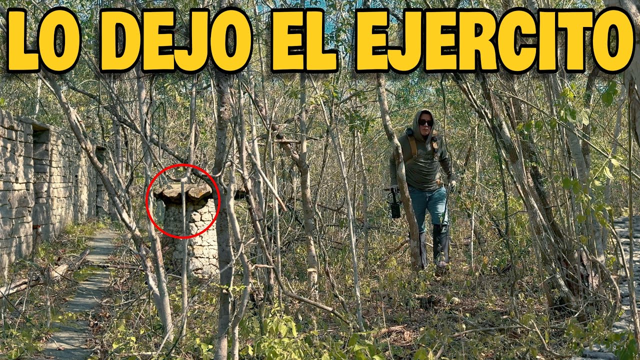 Lo que ENCONTR&Eacute;  en este BOSQUE me sorprendi&oacute;! Por algo abandonaron este lugar!