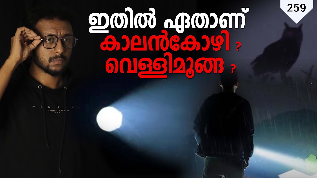 ഇതിൽ ഏതാണ് കാലൻകോഴി ? വെള്ളിമൂങ്ങ ? Tricks Episode : 259