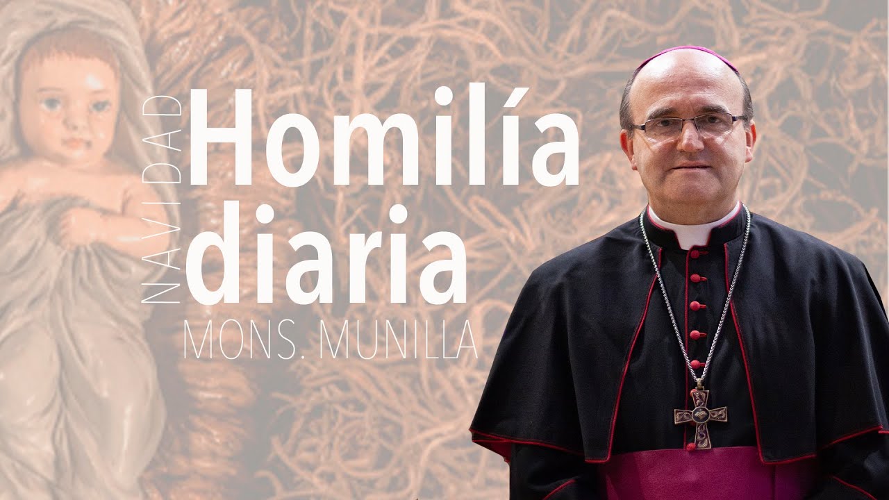 Homil&iacute;a 26.12.2022 /San Esteban Protomartir