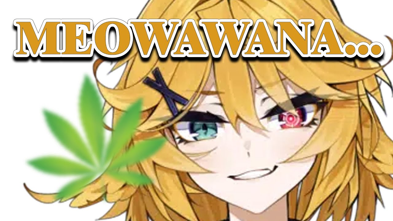 meowawana... - Dokibird Clip Highlights