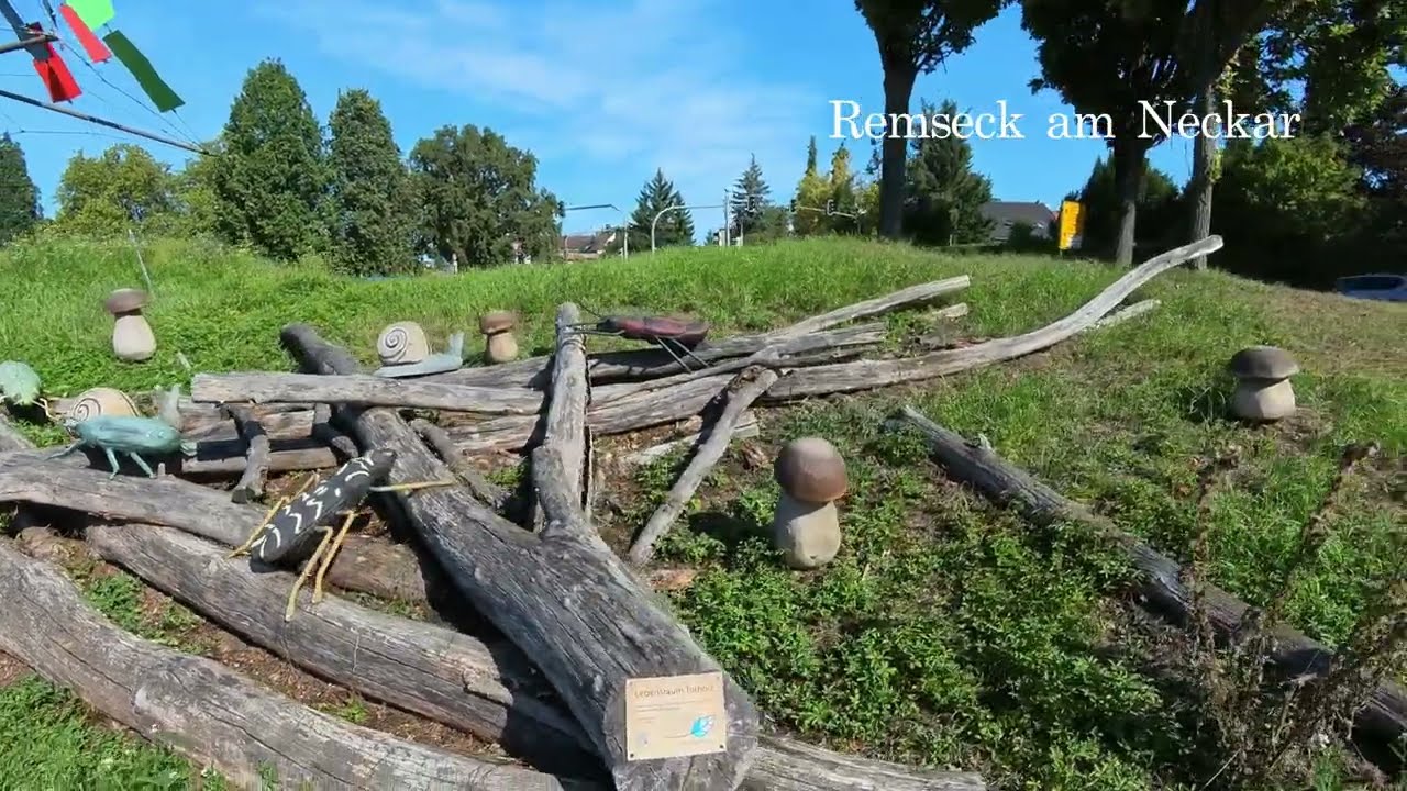 Running along the Neckar river: Part 10 - Remseck to Benningen