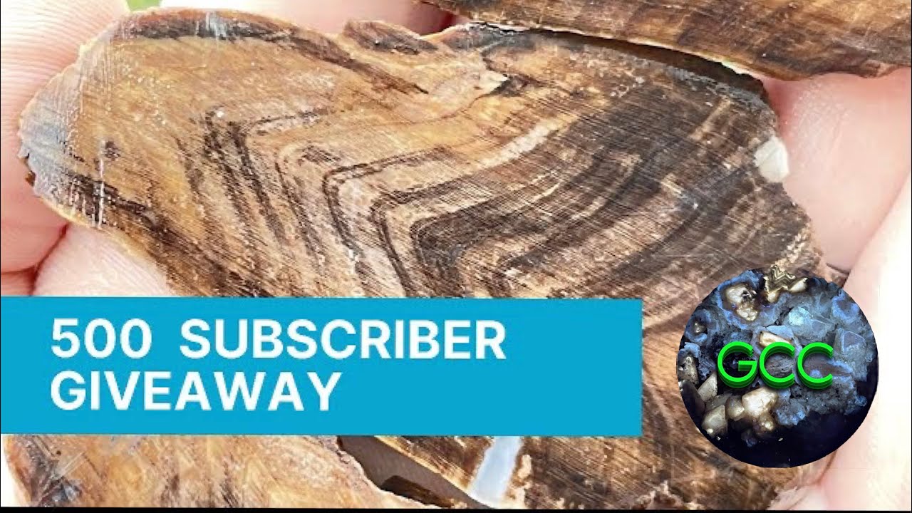 500 Subscribers Giveaway!