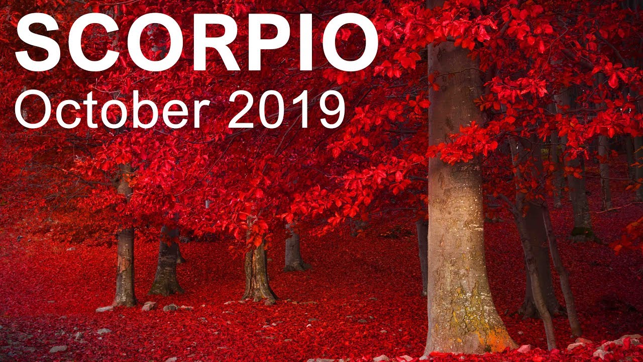 SCORPIO OCTOBER 2019 TAROT  