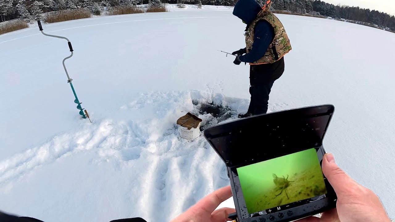 Что клюёт подо льдом? Смотрим в подводную камеру! Сом. Рак