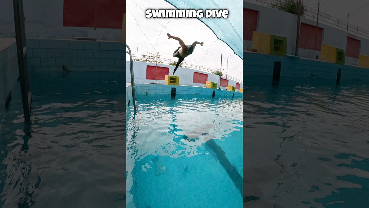 Swimming Dive 🏊 