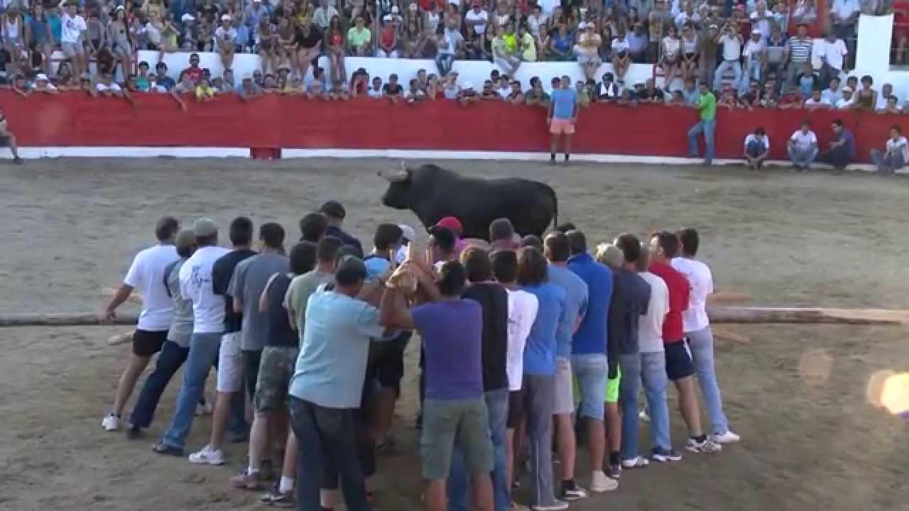 Capeia Arraiana 2014 - Aldeia da Ponte - Forcão - cogida