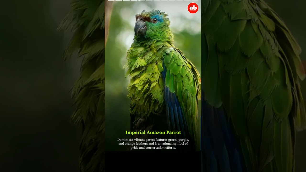 10 Rare and UniqueBird Species in theWorld 