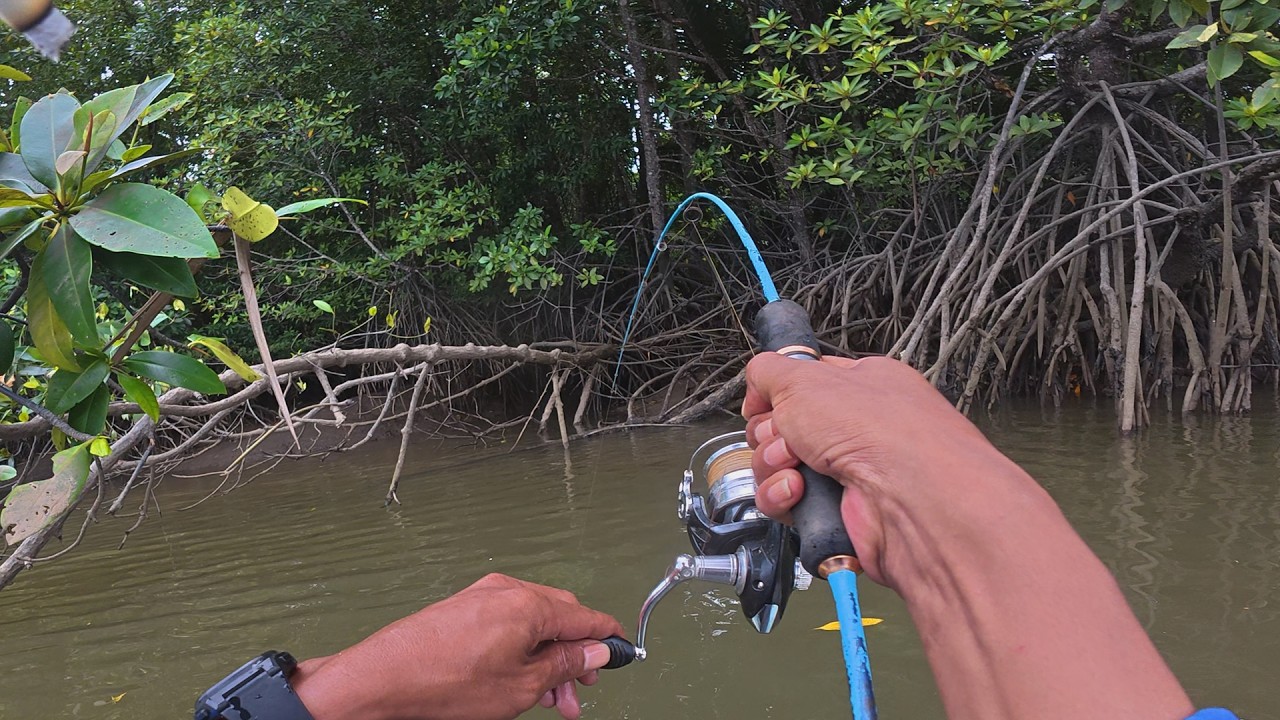 Spot Mancing Kayu Kelelep, Langsung Di haup iwak