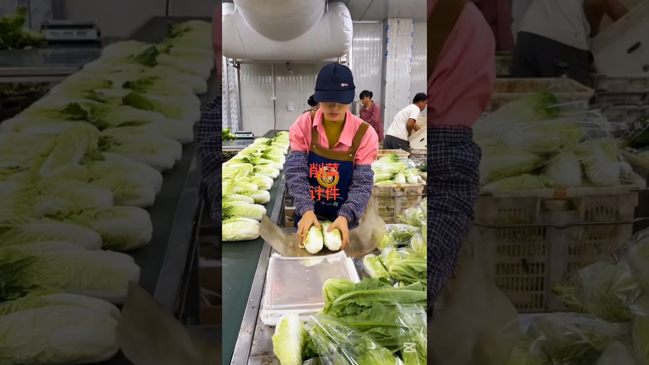Fast packing Techniques 